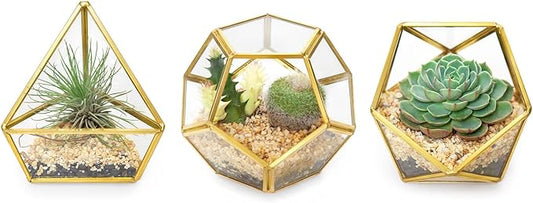 Mkono 4 Inches Mini Glass Geometric Terrarium Container Set of 3 Modern Tabletop Planter Shelves Decor Display Centerpiece for Succulent Miniature Fairy Garden Air Plant, Gold (Plant Not Included)-Ruum Studio Home