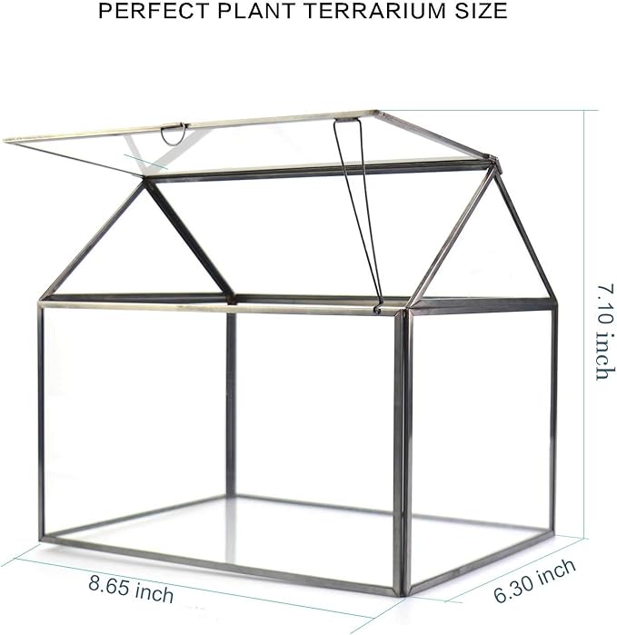 Black 1 Large Glass Plant Terrarium Kit with Lip Greenhouse for Succulents-Ruum Studio Home