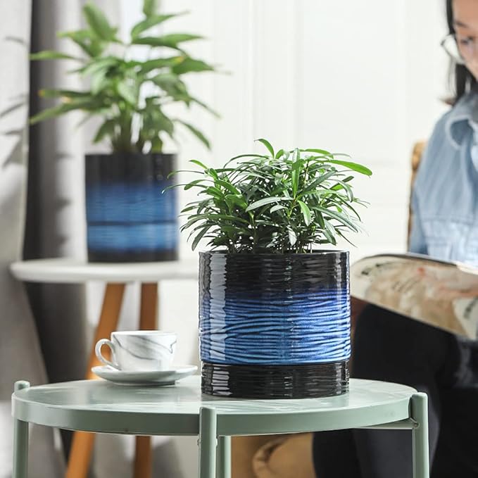Nihow Self Watering Plant Pot: 6 Inch Ceramic Planter with Drainage Hole & Water Storage Plus for Indoor & Outdoor Plants - Cylinder Round Flower Pot for Succulent/Herbs/Violets - Black & Vivid Blue-Ruum Studio Home