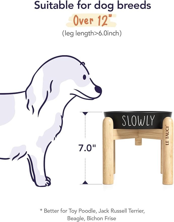 Ceramic Slow Feeder Bowl Elevated - 1.5 Cup with Wood Stand for Small & Medium Breed, Anti-Gulping, Black-Ruum Studio Home