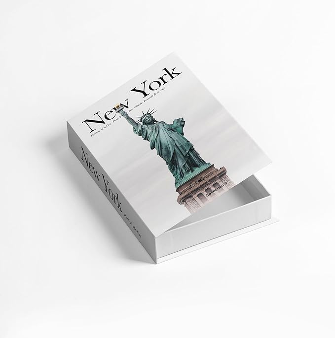 Decorative Storage Book Box – Hidden Storage for Remote Controls, Keys, and Small Items – Elegant Home Decor for Living Room, Bedroom, Coffee Table – Modern Style Faux Book Organizer (New york)-Ruum Studio Home