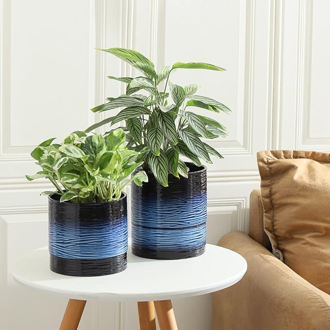 Nihow Self Watering Plant Pot: 6 Inch Ceramic Planter with Drainage Hole & Water Storage Plus for Indoor & Outdoor Plants - Cylinder Round Flower Pot for Succulent/Herbs/Violets - Black & Vivid Blue-Ruum Studio Home