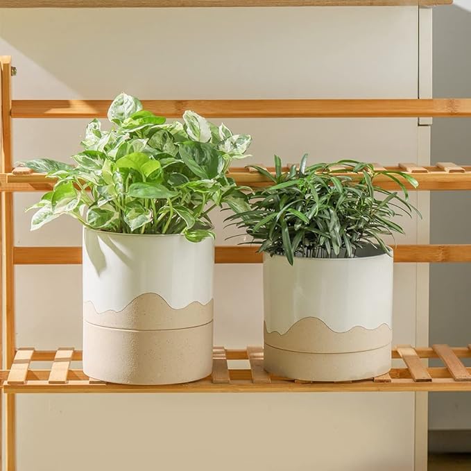 Nihow Self Watering Plant Pot: 6 Inch Ceramic Planter with Drainage Hole & Water Storage Plus for Indoor & Outdoor Plants - Cylinder Round Flower Pot for Succulent/Herbs/Violets - White & Nature-Ruum Studio Home