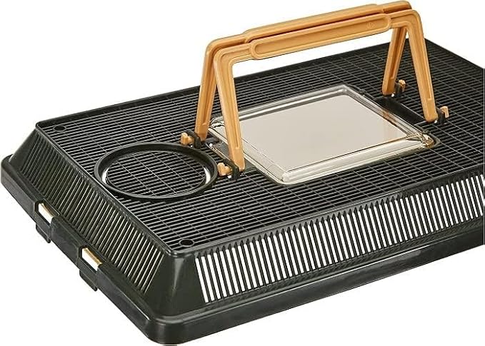 Exo Terra Faunarium, Plastic Reptile Terrarium, Small, PT2255 (Pack of 2)-Ruum Studio Home