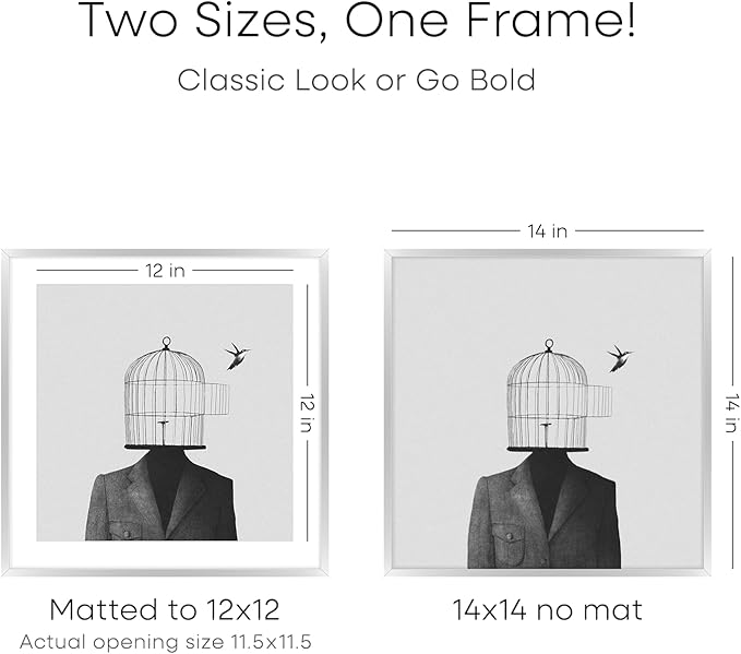 Homeforia Silver 14x14 Picture Frame, High End Metal 14 x 14 Square Frame with Mat 12 x 12 Photo, 14x14 Poster Frames Matted to 12x12 Print, 14 by 14 Hanging Frames, Tempered Glass, Wall Kit, Set of 1-Ruum Studio Home