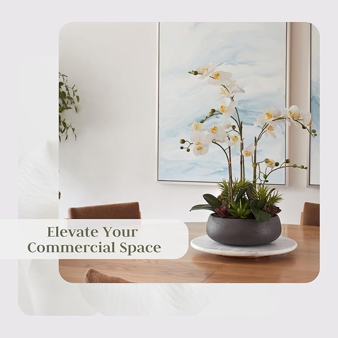 Faux Orchid Plant w/Succulents, Premium Artificial Indoor Flower Display Stands 24” w/Beautiful Sculptural Blooms and Succulents That Lasts Forever, Grey Planter Pot Included-Ruum Studio Home