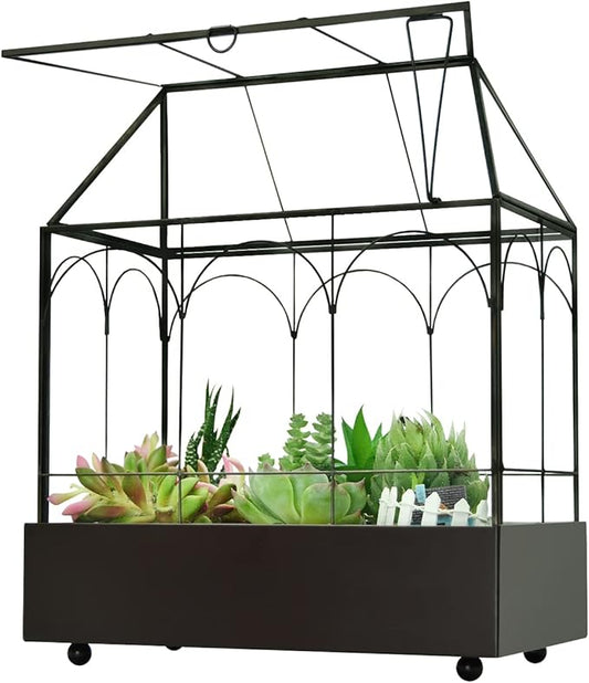 Large Tall Glass Plant Terrarium – House Succulent Terrarium Kit with Lip and Tray Glass Greenhouse Terrarium for Plant 9.5”X5.7”X11.4”-Ruum Studio Home
