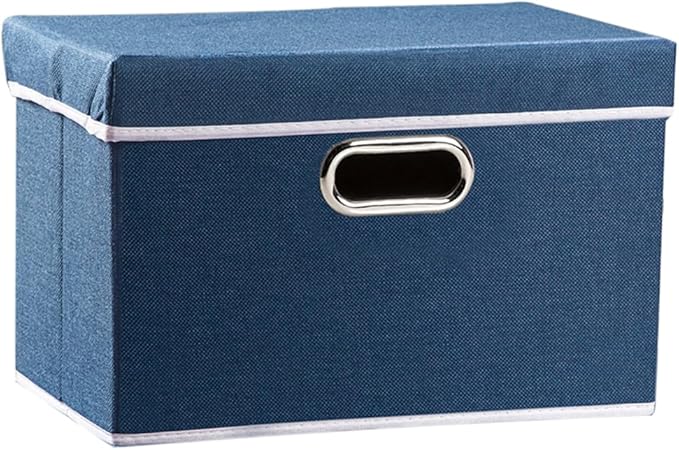 PRANDOM Collapsible Storage Bin with Lid [1-Pack] Fabric Foldable Storage Box Organizer Container Basket Cube with Cover for Home Bedroom Closet Office Nursery Royal Blue(14.9x9.8x9.8)-Ruum Studio Home