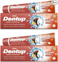 Dentup Herbal Toothpaste with Clove & Basil | Natural Fluoride-Free Ayurvedic Toothpaste for Fresh Breath & Gum Support – 100g Each (Pack of 2)-Ruum Studio Home