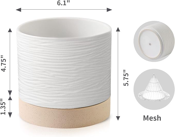 Nihow Ceramic Plant Pot: 6 Inch Planter with Drainage Hole & Saucer for Indoor & Outdoor Plants - Cylinder Round Flower Pot for Succulent/Herbs/Violets - White & Brown-Ruum Studio Home