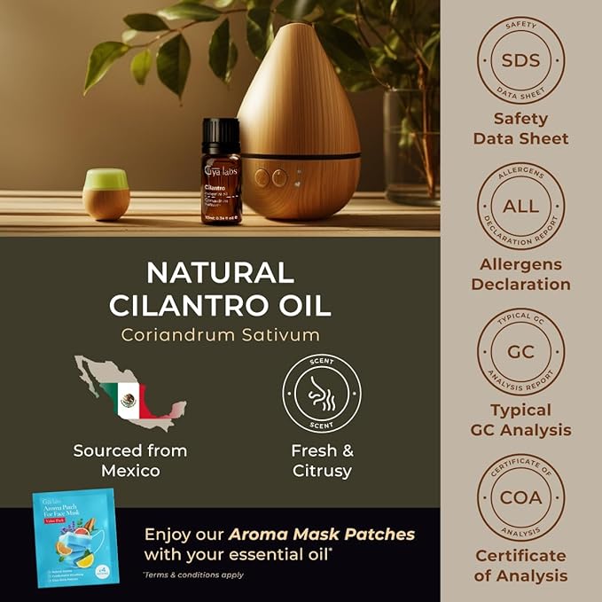 Gya Labs Cilantro Essential Oil for Diffusers - 0.34 Fl Oz - 100% Natural Cilantro Oil for for Skin, Massage, Aromatherapy & Candle Making Scent-Ruum Studio Home