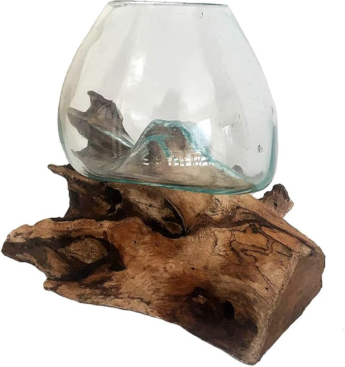 Hand Blown Molten Glass & Teak Wood Terrarium/Vase/Fish Bowl - Premium Quality (7" - 9" High)-Ruum Studio Home