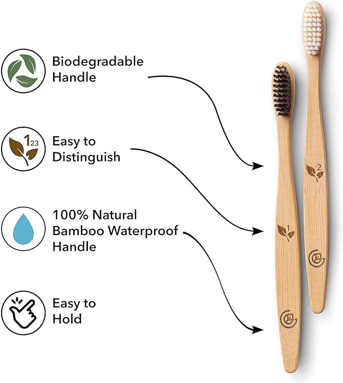 Greenzla Bamboo Toothbrushes for Adults – 12 Pack Wooden Toothbrush Set with Charcoal-Infused Soft Bristles, Natural Oral Care for Daily Use-Ruum Studio Home