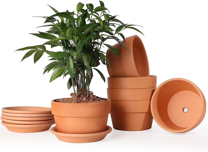 INGOFIN 5 Inch Terracotta Shallow Pots Set with Saucer - Ceramic Clay Pots with Drainage Hole, Terra Cotta for Plants for Indoor Outdoor Plants, Set of 6-Ruum Studio Home
