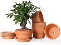 INGOFIN 5 Inch Terracotta Shallow Pots Set with Saucer - Ceramic Clay Pots with Drainage Hole, Terra Cotta for Plants for Indoor Outdoor Plants, Set of 6-Ruum Studio Home