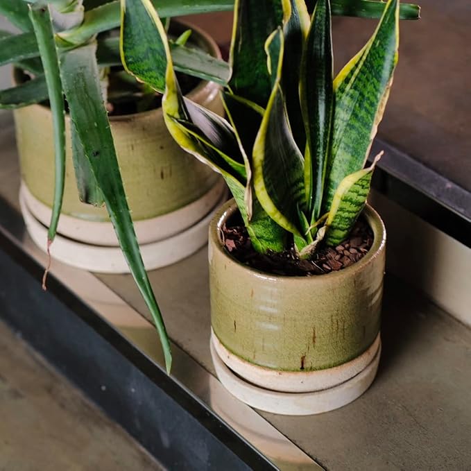 6 + 8 Inch Plant Pots, Ceramic Planter Pot with Drainage Hole & Saucer, Indoor/Outdoor Cylinder Round Planter Pot, Green-Ruum Studio Home