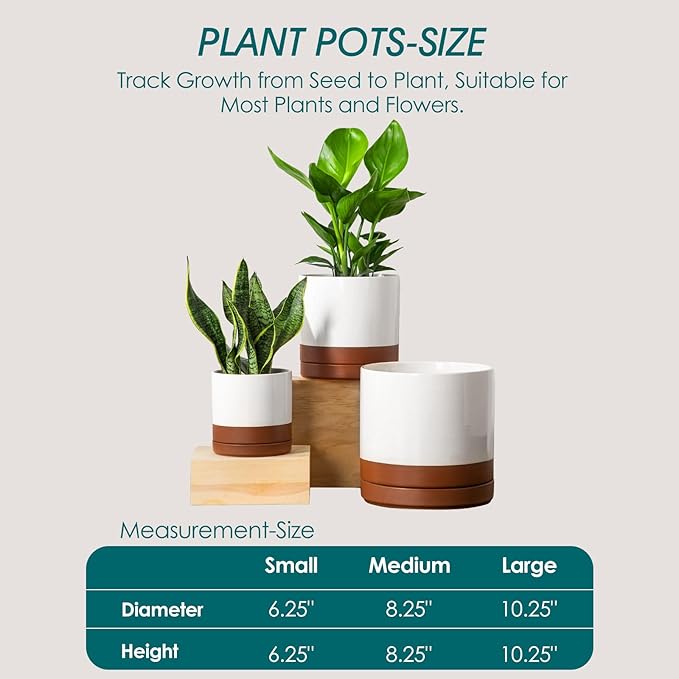 vancasso Ceramic Pots for Plants, Plant Pots for Indoor Plants, 6.25+8.25+10.25 Inch Ceramic Planters, Flower Pots with Drainage Holes, Planters Pot for Indoor House Plant, Set of 3, Khaki-Ruum Studio Home
