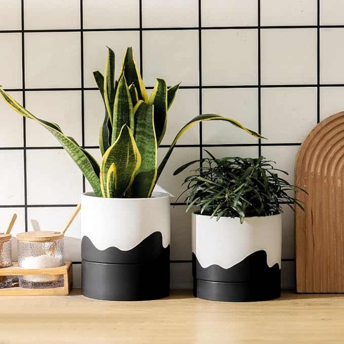 Nihow Ceramic Plant Pot: 6 Inch Planter with Drainage Hole & Saucer for Indoor & Outdoor Plants - Cylinder Round Flower Pot for Succulent/Herbs/Violets - White & Wave Black-Ruum Studio Home