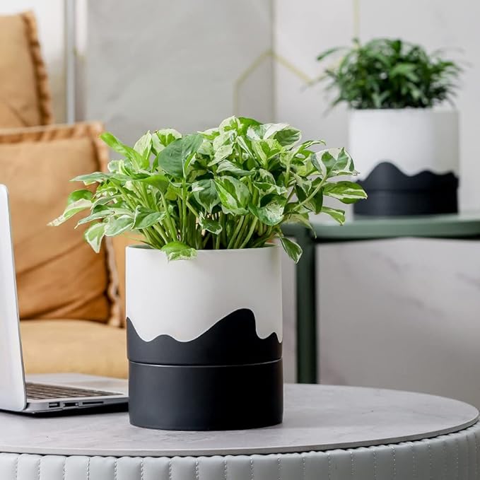Nihow Self Watering Plant Pot: 6 Inch Ceramic Planter with Drainage Hole & Water Storage Plus for Indoor & Outdoor Plants - Cylinder Round Flower Pot for Succulent/Herbs/Violets - White & Wave Black-Ruum Studio Home