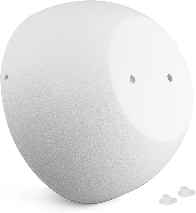 10 inch Hanging Planters for Indoor Outdoor Plants, 2 Pack Hanging Flower Pots with Drainage Holes and Chain for Garden Balcony Porch, Round Plastic Hanging Baskets for House Plants, White-Ruum Studio Home