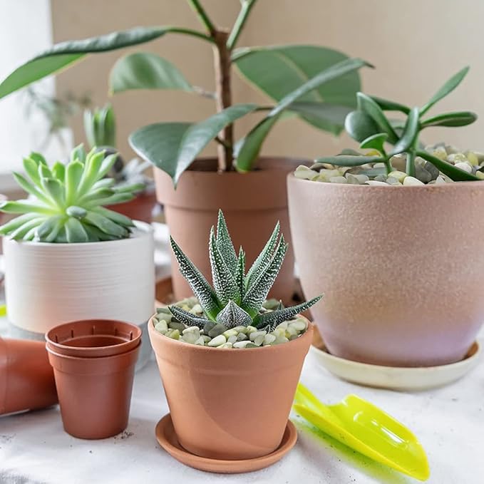 5LB Succulent and Cactus Pebbles, 1/5 Inch Jade Natural Decorative Polished Stones, River Rocks for Plants, Vases and Outdoor Gardening-Ruum Studio Home