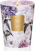 M&SENSE Lavender Glow Scented Natural Soy Wax Candle, 14.1oz 60 Hours Long Lasting Slow Burning Candles for Home Decor, Aromatherapy Candle for Stress Relief-Ruum Studio Home