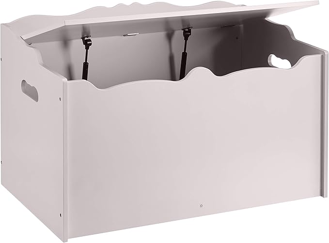 Amazon Basics Kids Toy Box, Wooden Organizer Storage Chest, Gray, 30" x 18" x 19"-Ruum Studio Home