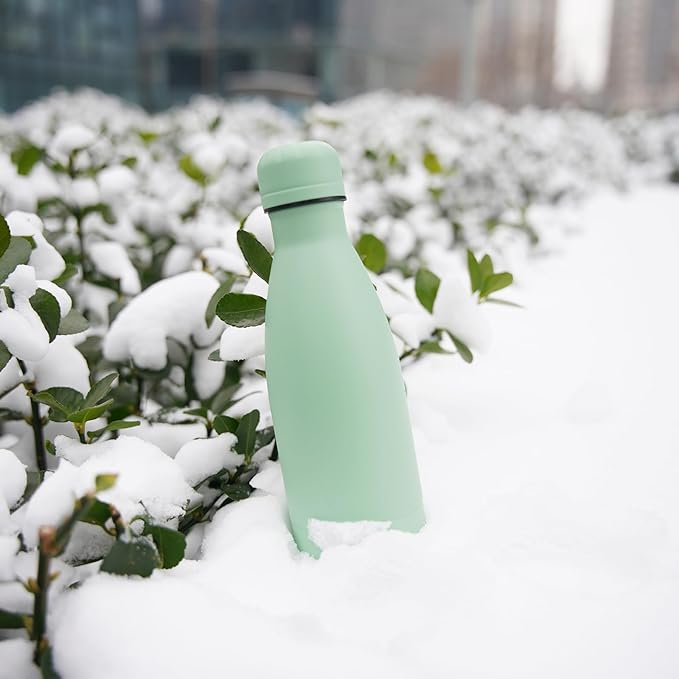 Insulated Water Bottles,25 oz Double Wall Stainless Steel Vacumm Metal Flask for Sports Travel,Macaron Green-Ruum Studio Home