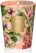 M&SENSE Peony Blush Sude Scented Natural Soy Wax Candle, 14.1oz 60 Hours Long Lasting Slow Burning Candles for Home Decor, Aromatherapy Candle for Stress Relief-Ruum Studio Home