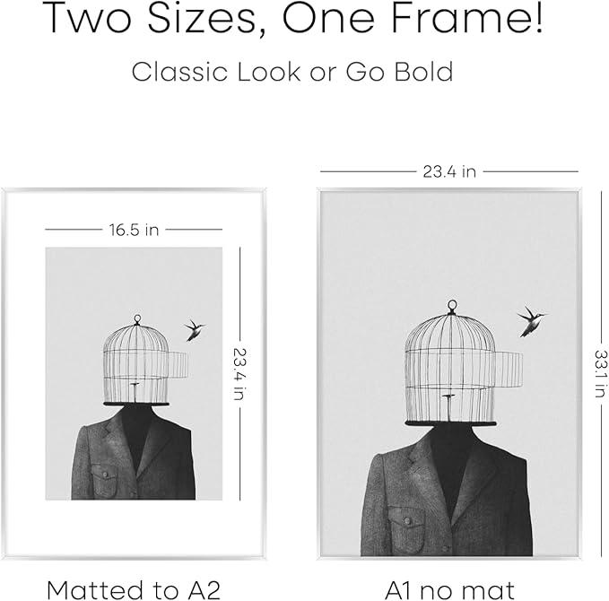 Homeforia A1 Poster Frame Silver, High End Metal A1 Large Picture Frame Silver with Mat A2 for Photo, 23.4x33.1 Frames Matted to 16.5x23.4 Print, 23.4 by 33.1 Frame, Tempered Glass, Wall Kit, Set of 1-Ruum Studio Home