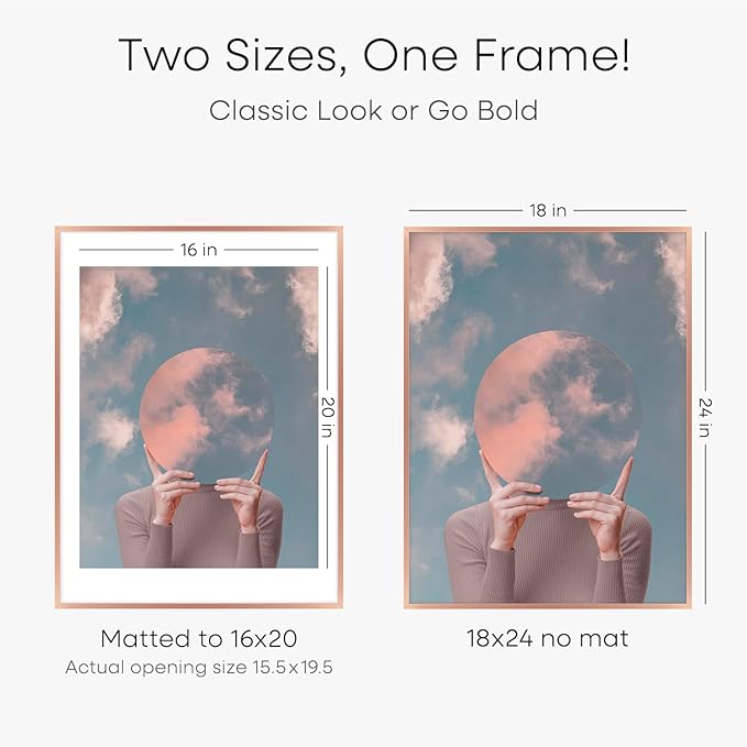 Homeforia 18x24 Frame Rose Gold, High End Metal 18x24 Poster Frames with Mat 16x20 inch Photo, 18 x 24 Rose Gold Picture Frame Matted to 16 by 20 Print, 24x18 Frame, Tempered Glass, Wall Kit, Set of 1-Ruum Studio Home