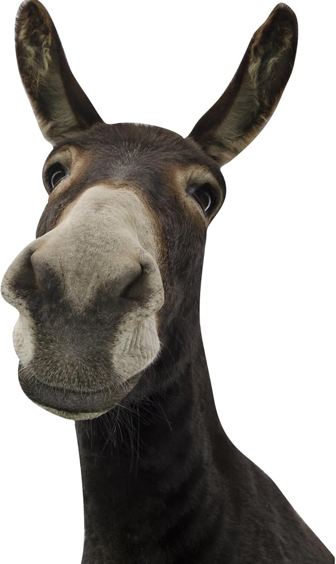 Funny Donkey Wall Decals - Peel and Stick Cute Window Stickers, Removable Vinyl Farmhouse Decor, Weird Gifts for Friends-Ruum Studio Home