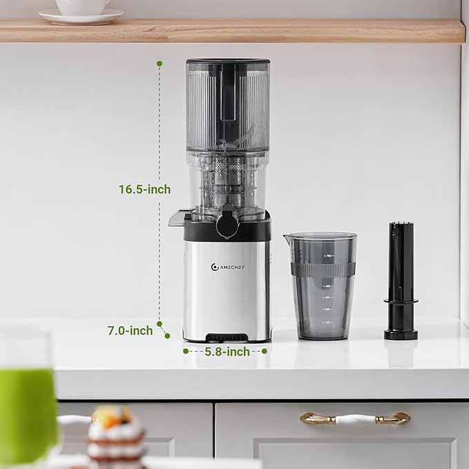 AMZCHEF Cold Press Juicer, Juicers Machines - 5.4" Large Feed Chute for Whole Fruits & Vegetables, Stainless Steel Slow Masticating Juice Easy to Clean, Large Auger, Triple Strainers, Silver-Ruum Studio Home