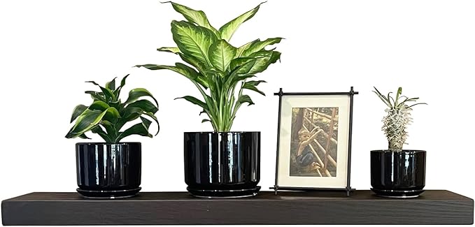 joelsantiques 36 Inch Wooden Floating Shelves for Wall - 36x8x2 in - Made of Natural Wood - Heavy Duty Rustic Wall Shelves - Made in USA - Perfect for Living Room, Kitchen - Mocha-Ruum Studio Home