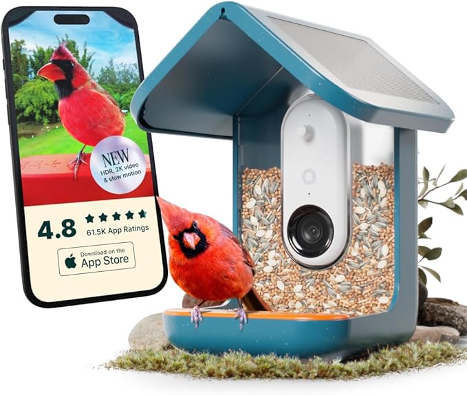 Birdbuddy PRO Solar Smart Bird Feeder with Camera - AI Bird Species Identification, 5MP Photos, 2K HD Video Live Stream Camera, Slow-Motion Video, 2.6in Focus - Blue Solar-Ruum Studio Home
