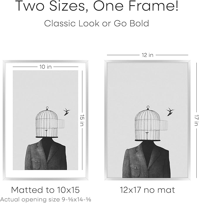 Homeforia 12x17 Picture Frame Silver, High End Metal 12x17 Frames with Mat 10x15 for Photo, 12 x 17 Silver Poster Frame Matted to 10 x 15 Print, 17x12 Hanging Frame, Tempered Glass, Wall Kit, Set of 1-Ruum Studio Home
