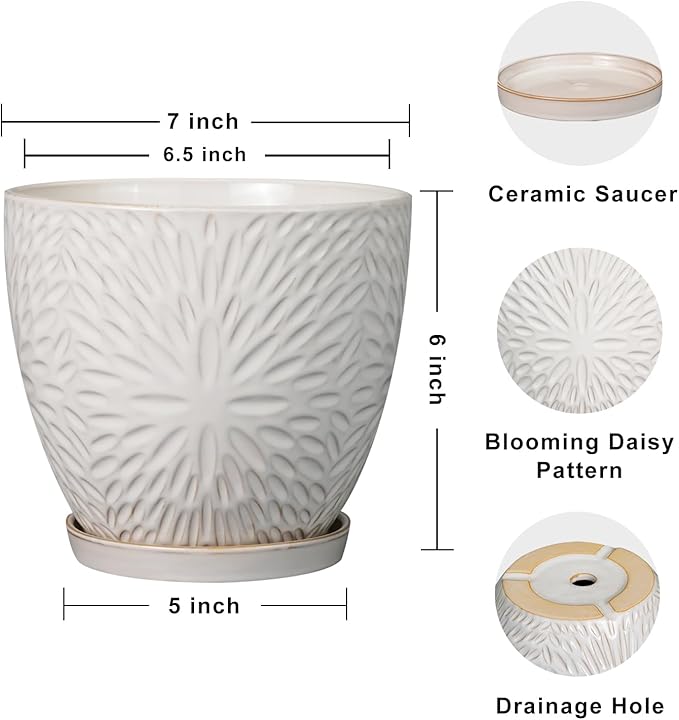 G EPGardening 6 Inch Plant Pot for Indoor Plants Outdoor Round Ceramic Planter Decorative Flower Pot with Drainage Hole and Saucer White-Ruum Studio Home