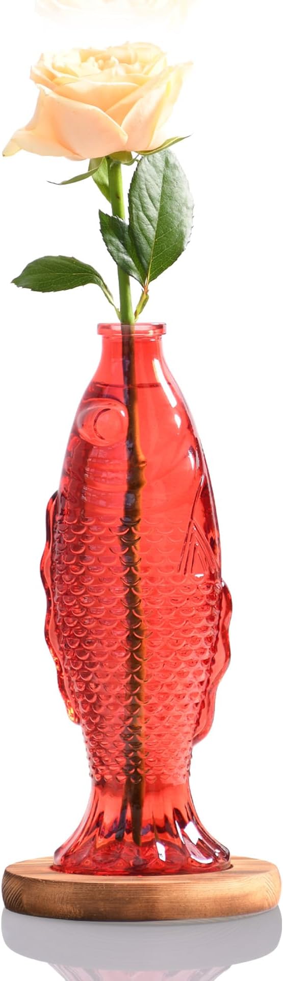 Nacome Fish Vase Glass Plant Terrarium with Wooden Stand,Planter Propagation Station for Home Office Hydroponics Desk Decoration,Unique Gardening Gifts for Plant Lovers Women Mom(Red)-Ruum Studio Home