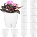 Self-Watering Pots for Indoor Plants, 12-Pack 5'' Self Watering Planter with Drainage Holes, Small African Violet Pots with Water Indicator, Clear Wick Pot, White-Ruum Studio Home