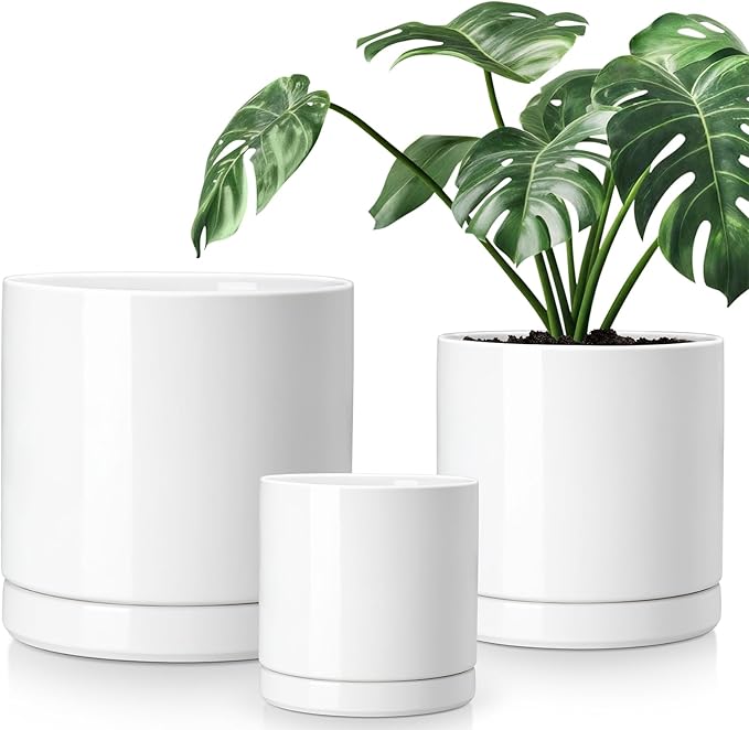 vancasso Ceramic Planters, Plant Pots for Indoor Plants, 6.25+8.25+10.25 Inch Ceramic Pots for Plants, Flower Pots with Drainage Holes, Planters Pot for Indoor House Plant, Set of 3, White-Ruum Studio Home