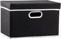 PRANDOM Foldable Storage Box with Lid [1-Pack] Fabric Collapsible Storage Bin Organizer Container Basket Cube with Cover for Home Bedroom Closet Office Nursery Black (14.9x9.8x9.8)-Ruum Studio Home