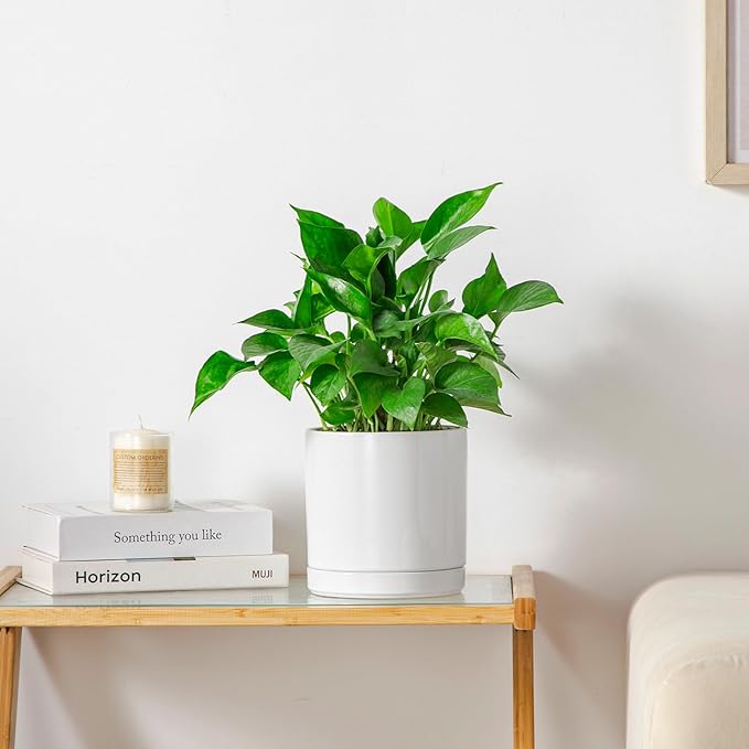 vancasso Ceramic Plant Pots, 6.25 Inch Ceramic Pot for Plants, Planters Pots for Indoor Plants with Drainage Holes, Flower Pot for Indoor House Plant, White-Ruum Studio Home