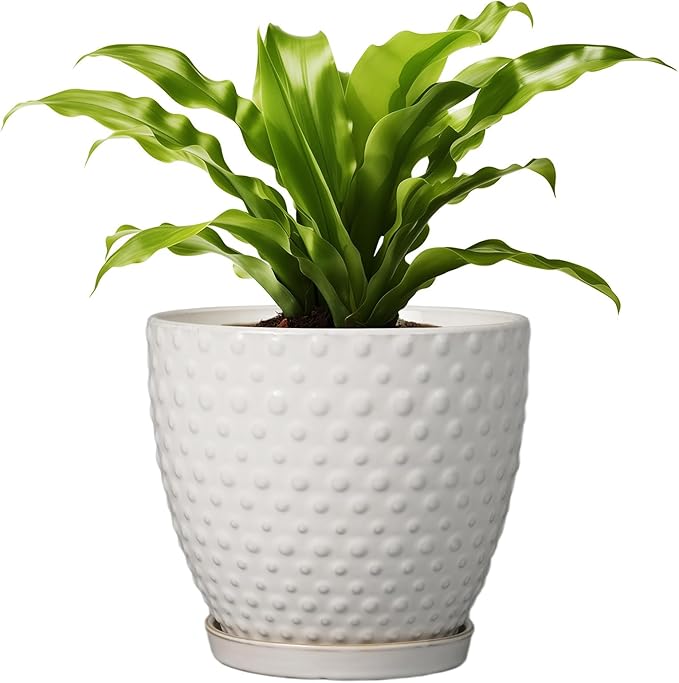 G EPGardening 8 Inch Plant Pot for Indoor Outdoor Plants Round Ceramic Planter Pot with Drainage Hole and Saucer Modern Large Flower Pot White-Ruum Studio Home
