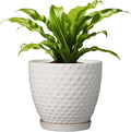 G EPGardening 8 Inch Plant Pot for Indoor Outdoor Plants Round Ceramic Planter Pot with Drainage Hole and Saucer Modern Large Flower Pot White-Ruum Studio Home