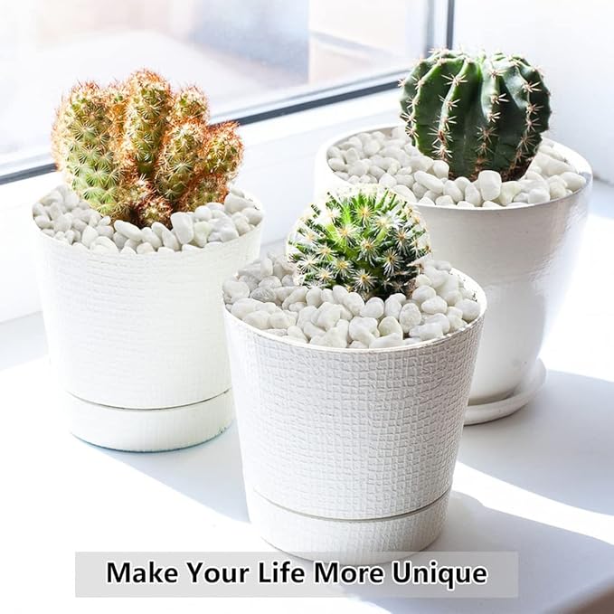 5LB Succulent and Cactus Gravel Pebbles, 1/5 Inch White Natural Decorative Polished Stones, River Rocks for Plants, Vases, Aquariums, Terrarium and Outdoor Gardening-Ruum Studio Home