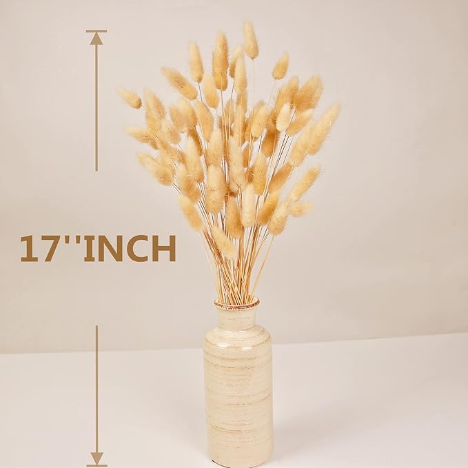 120 PCS Bunny Tails Dried Flowers, Dried Pampas Grass Bouquet, Boho Table Decor, White Pampas Grass Small, Dried Bunny Tails, Pampas Grass for Wedding, Home, Rustic Party, Baby Shower Decorations-Ruum Studio Home