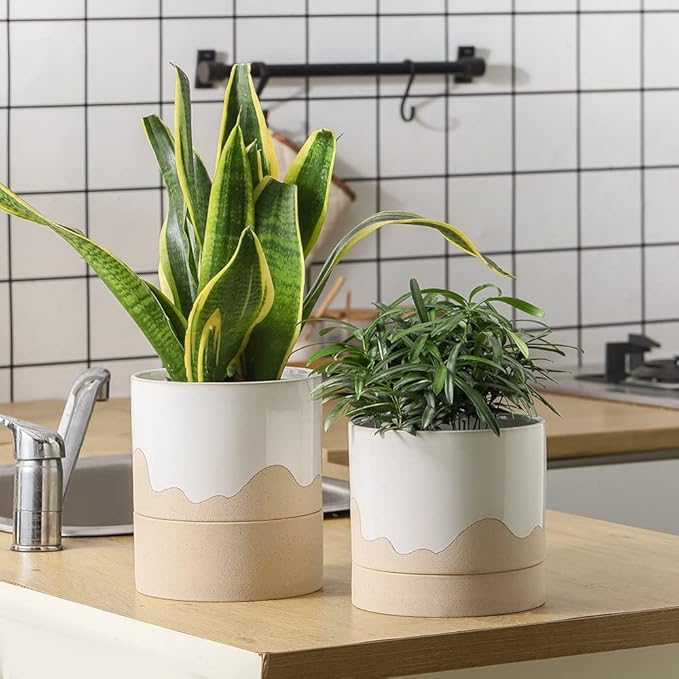 Nihow Self Watering Plant Pot: 6 Inch Ceramic Planter with Drainage Hole & Water Storage Plus for Indoor & Outdoor Plants - Cylinder Round Flower Pot for Succulent/Herbs/Violets - White & Nature-Ruum Studio Home