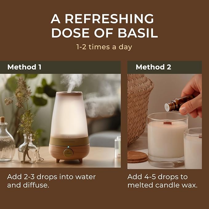 Gya Labs Holy Basil (Tulsi) Essential Oil - 0.34 Fl Oz - 100% Pure Natural Holy Basil Oil for Diffuser & Candle Making Scent-Ruum Studio Home