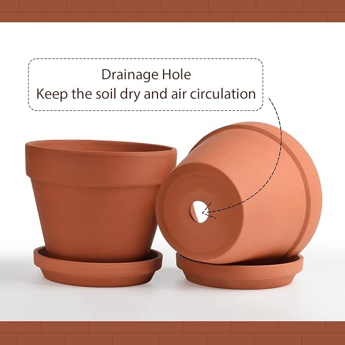 INGOFIN Terracotta Pots Set with Saucer - 2-Pack Ceramic Clay Planters with Drainage Hole, Garden Flower Succulent Pots with Tray for Indoor Outdoor Plants, 8 inch, Set of 2-Ruum Studio Home