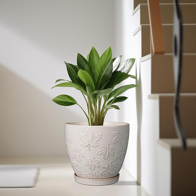 Pots for Plants 10 Inch - Ceramic Planter Large Plant Pot for Indoor Plants Outdoor Round Flower Pot with Drainage Hole and Saucer Home Garden Decor White-Ruum Studio Home